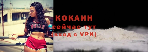 гашик Володарск